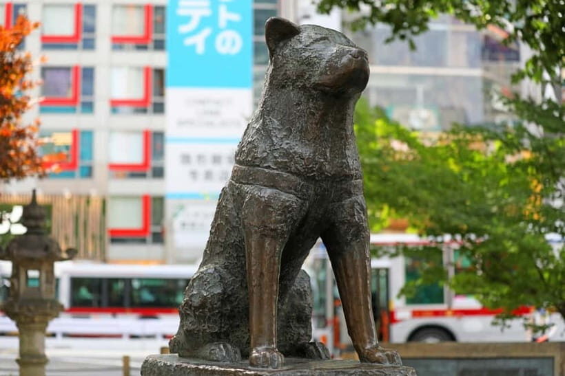 Tokyo: Shibuya Crossing & Hidden Streets Walking Tour - Center Gai: youthful energy with a guided lens