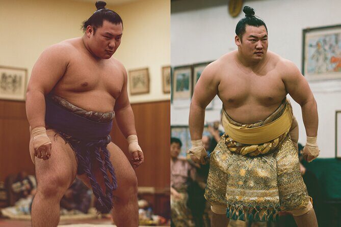Tokyo Shinjuku Sumo Show & Experience with Photo - The main show: Sacred rituals, pro action, and an easy explanation
