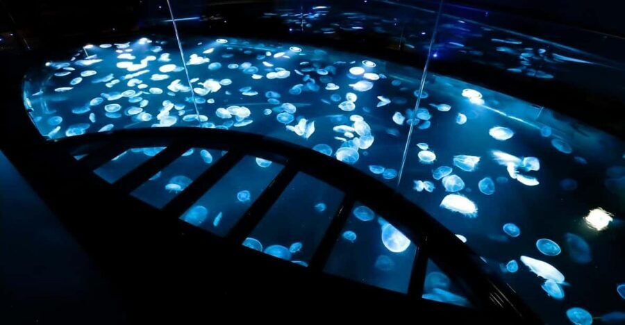 Tokyo: Sumida Aquarium Entry Ticket - Sumida Aquarium in Tokyo: A Calm, Park-Like Visit