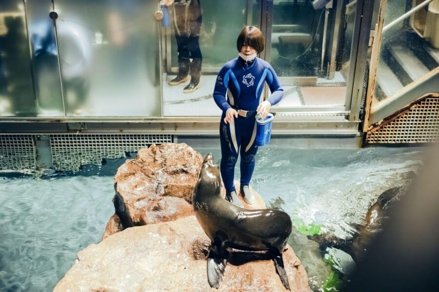 Tokyo: Sumida Aquarium Entry Ticket - Rules That Matter: Flash, Photos, Bags, Lunch, and Pets
