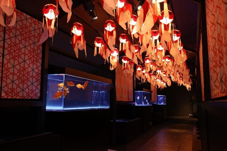 Tokyo: Sumida Aquarium Entry Ticket - Who This Fits Best in Tokyo (and Who Should Consider Alternatives)