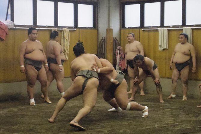 Tokyo Sumo Morning Practice Tour at Stable - Why A Sumo Morning Practice Feels More Real Than Tournament Day