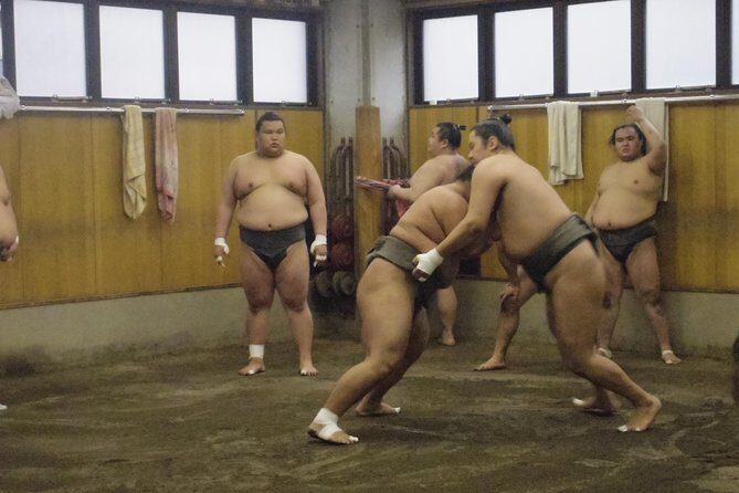 Tokyo Sumo Morning Practice Tour at Stable - Stop 2 in Ryogoku at the Stable: Watching Serious Training Up Close