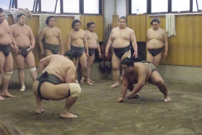 Tokyo Sumo Morning Practice Tour at Stable - Guide Style, Headsets, and the Value of Running Commentary
