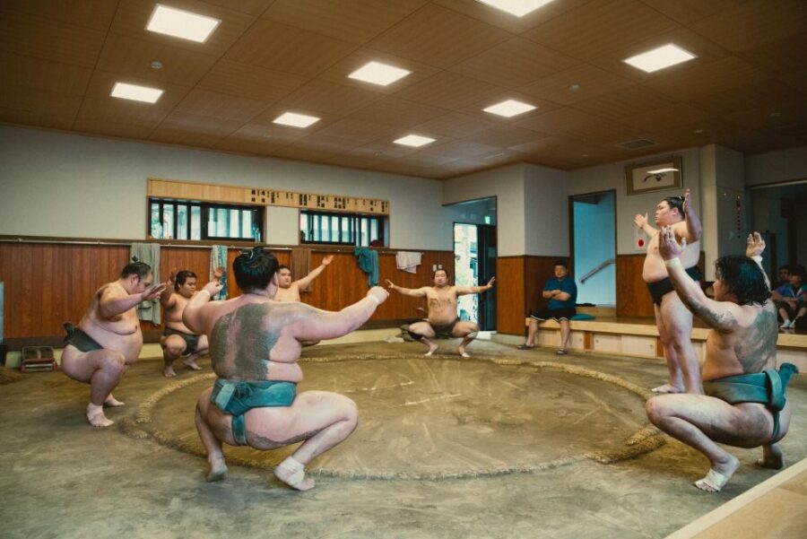 Tokyo: Sumo Morning Practice Tour at Sumida City - After practice: the stable master Q&A and the photo moment