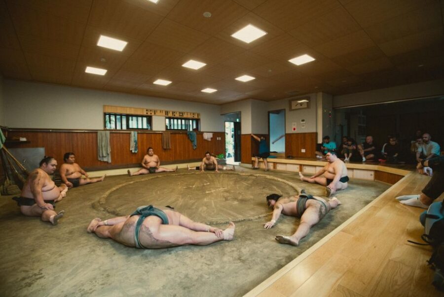 Tokyo: Sumo Morning Practice Tour at Sumida City - Guide quality in real terms: names you’ll hear and what good guiding looks like