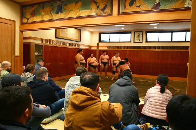 Tokyo Sumo Morning Practice: Viewing & Exclusive Interaction - Narihira Park meet-up: manners first, then movement
