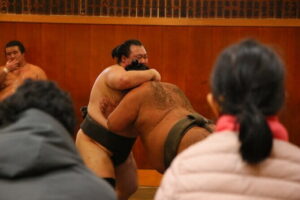 Tokyo Sumo Morning Practice: Viewing & Exclusive Interaction - Narihira Park orientation: the right setup before the stable