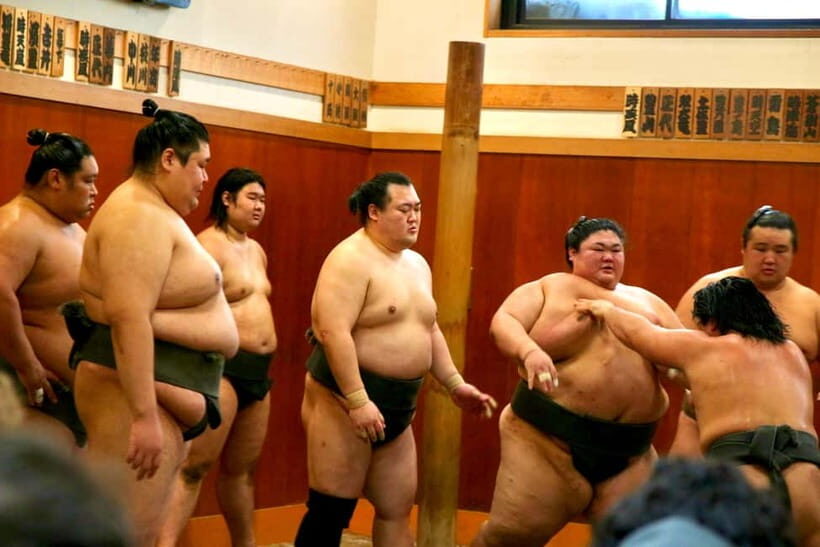 Tokyo Sumo Morning Practice: Viewing & Exclusive Interaction - Inside the stable: your seating choice, and the rules that go with it
