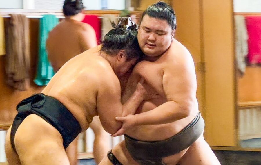 Tokyo: Sumo Morning Practice with journalists. Not fake show - Why a real sumo morning practice is worth your time