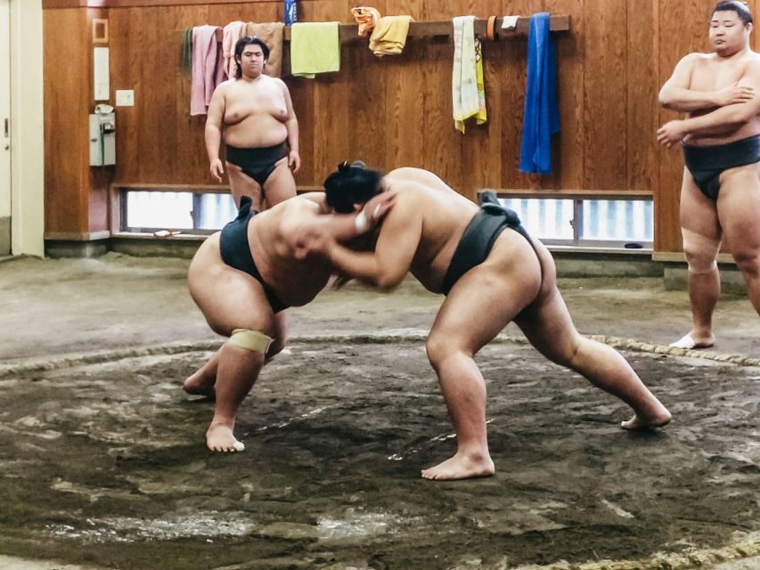 Tokyo: Sumo Morning Training Visit - Key Things That Make This Tokyo Sumo Visit Worth It