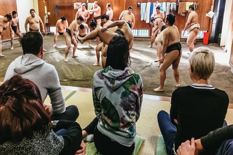 Tokyo: Sumo Morning Training Visit - Sumo Morning Training: What You’re Actually Watching