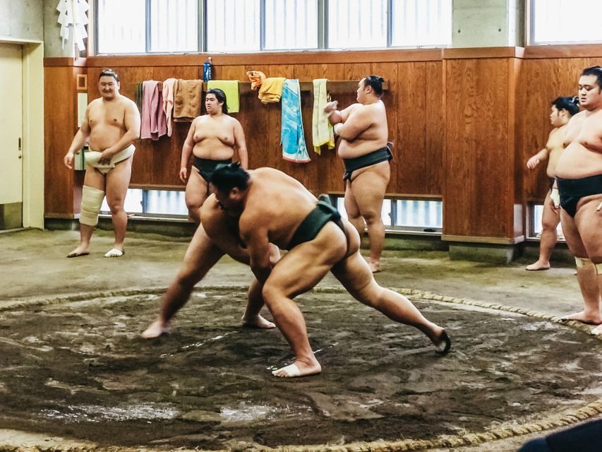 Tokyo: Sumo Morning Training Visit - Price and Value: Is $77 a Good Deal?