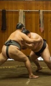 Tokyo: Sumo Show and Experience in Shinjuku - The Rituals You’ll See: Shiko, Salt, and Why It Matters