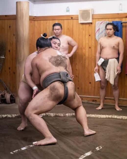 Tokyo: Sumo Show and Experience in Shinjuku - Where to Meet: Sekisaku Building and the Correct Front Door