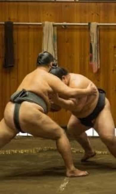 Tokyo: Sumo Show and Experience in Shinjuku - The Rituals You’ll See: Shiko, Salt, and Why It Matters