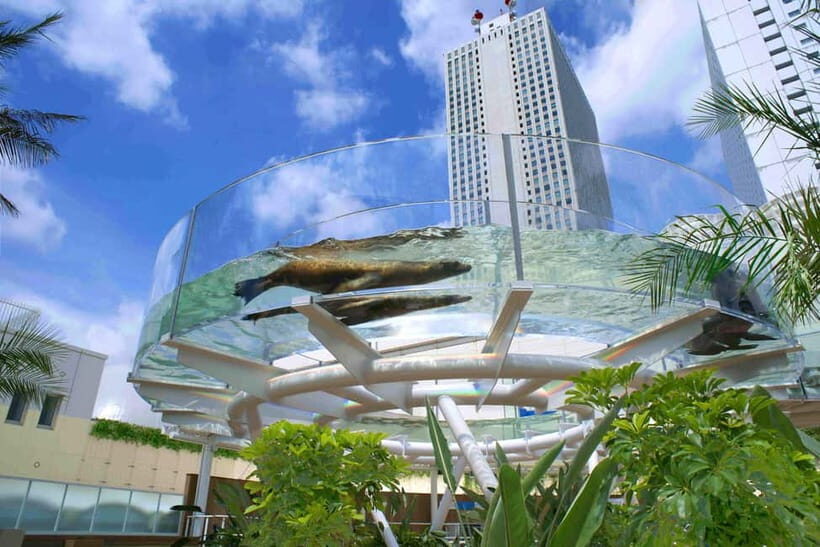 Tokyo: Sunshine Aquarium Entry Ticket - Rooftop oasis in busy Ikebukuro