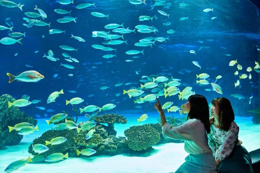 Tokyo: Sunshine Aquarium Entry Ticket - Penguins in the Sky: the exhibit that anchors the visit