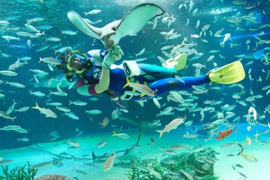 Tokyo: Sunshine Aquarium Entry Ticket - Planning your timing for a one-day visit