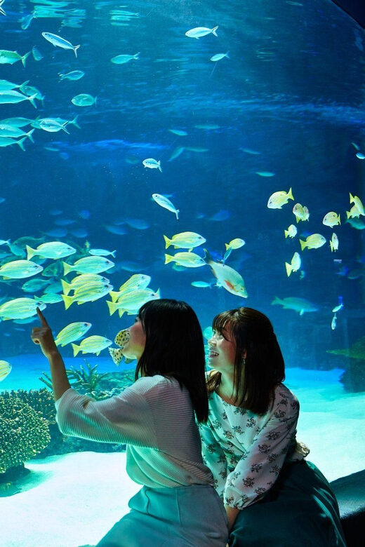 Tokyo: Sunshine Aquarium Entry Ticket - Using your ticket: QR code entry without extra steps
