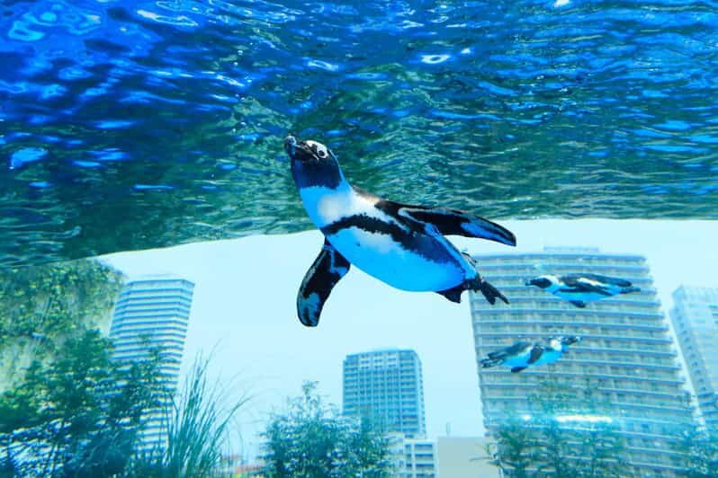 Tokyo: Sunshine Aquarium Entry Ticket - Should you book Sunshine Aquarium?
