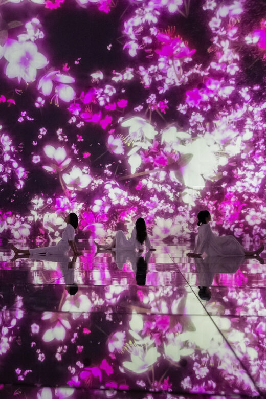 Tokyo: teamLab Planets TOKYO Digital Art Museum Entry Ticket - Orchids, falling flowers, and petal walls: where motion becomes magic