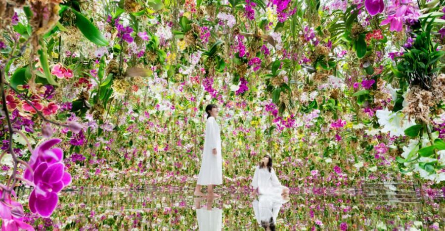 Tokyo: teamLab Planets TOKYO Digital Art Museum Entry Ticket - The forest-and-light rooms: sound, light, and senses working together