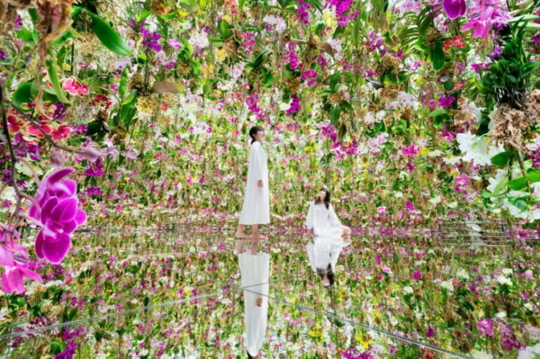 Tokyo: teamLab Planets TOKYO Digital Art Museum Entry Ticket - Entry rules that affect your day (more than you think)