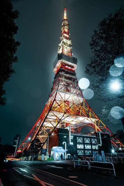 Tokyo: Tokyo Private Day Tour With Guide - The value of a private Tokyo day (and why it’s worth it)