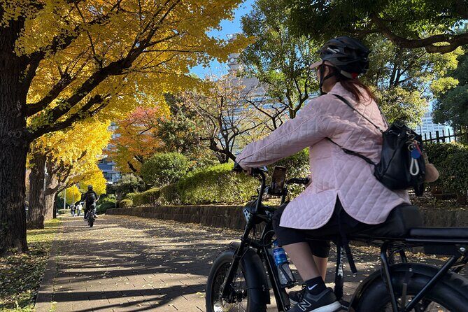 Tokyo Top Highlights 3h Guided E-bike Tour - Tokyo Tower Route: Zojo-ji, Atago Hill, Parliament, and Hibiya Park