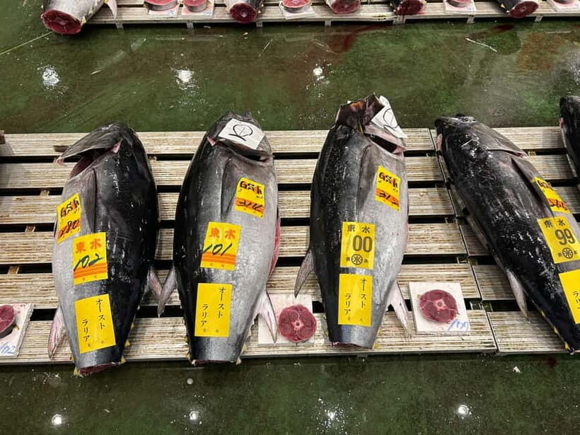 Tokyo Toyosu Tuna Auction + Breakfast (Sushi Dai or Bentomi) - Key highlights worth choosing