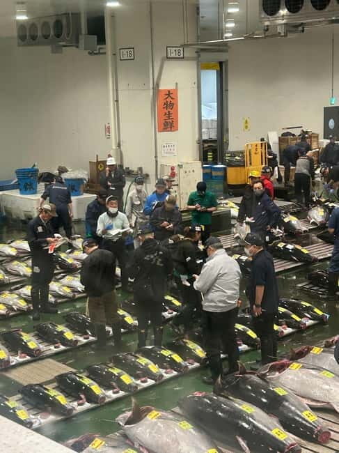 Tokyo Toyosu Tuna Auction + Breakfast (Sushi Dai or Bentomi) - Price and value: is $141 fair for 150 minutes?