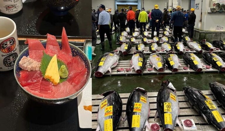 Tokyo Toyosu Tuna Auction + Breakfast (Sushi Dai or Bentomi) - Choosing the right viewing spot: ground deck vs 3rd-floor gallery
