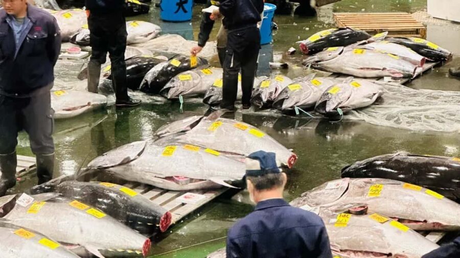 Tokyo: Toyosu Tuna Auction &Tsukiji Market Gourmet Adventure - Toyosu breakfast: What you actually eat and why it matters