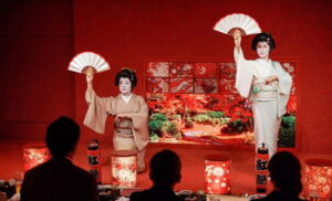 Tokyo: Traditional Geisha Experience Show & Japanese Dinner - The geisha performance: what intimate really means in practice