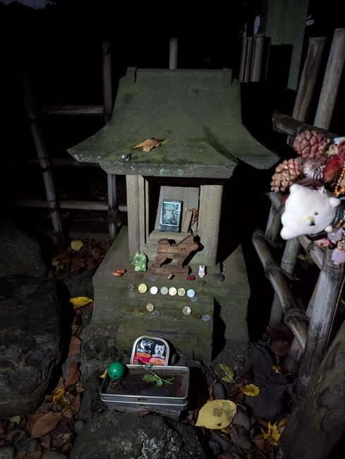 Tokyo: True Crime And Ghost Stories Tour - What Makes This Tour Worth Your $35?