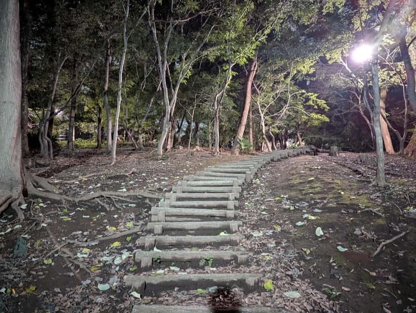 Tokyo: True Crime And Ghost Stories Tour - Price and Logistics: Is $35 Good Value?