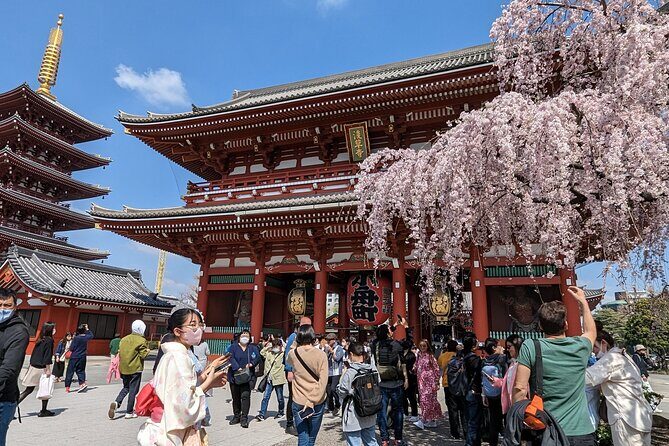 Tokyo VIP Guided Private Car Tour with Optional Airport Transfer - How this private car tour makes first-time Tokyo feel manageable