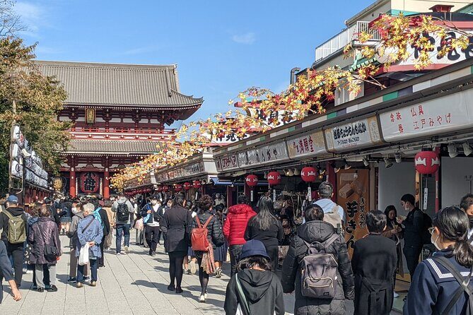 Tokyo VIP Guided Private Car Tour with Optional Airport Transfer - Pickup, languages, and the small comforts that add up