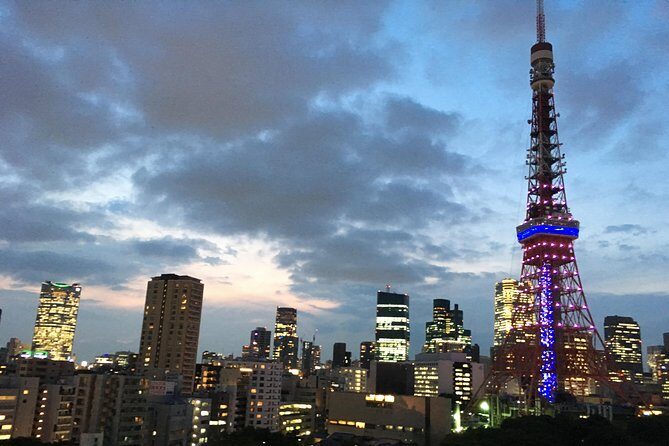 Tokyo VIP Guided Private Car Tour with Optional Airport Transfer - Gardens, shrines, and imperial-area stops for breathing room
