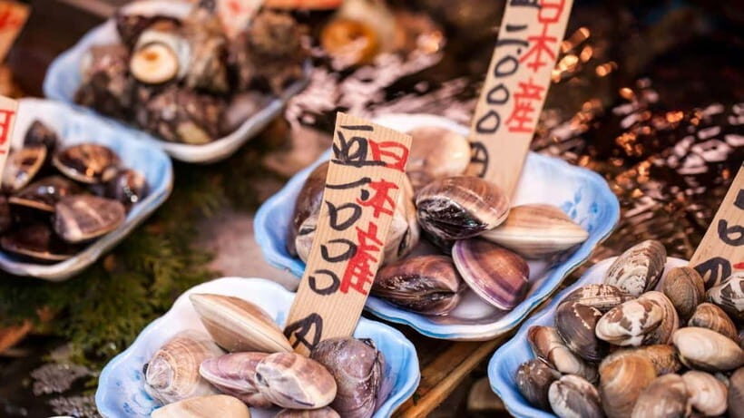 Tokyo’s Kitchen: Tsukiji Market Food & Culture Walk - Key takeaways before you go