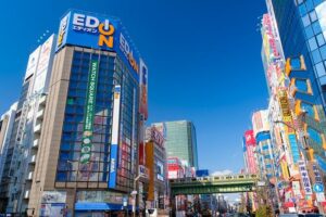 Tokyo’s Must-Sees: 5-hour Tsukiji, Akihabara & Asakusa Tour - Tsukiji Honganji Temple and the fish market without the guesswork