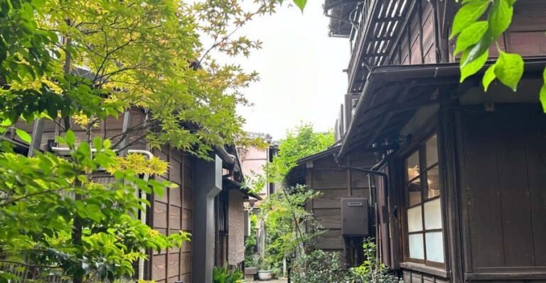 Tokyo:Stroll in Old traditional culture towns~Yanaka & Nezu - Setting out from Nippori: a practical start you can handle