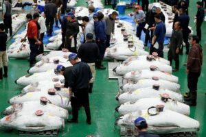 Toyosu Market Morning Tuna Auction and Tsukiji Food Tour with Licensed Guide - Stop 1: Toyosu Market for the tuna auction (the part everyone wants)