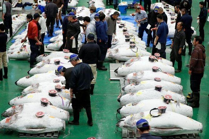 Toyosu Market Morning Tuna Auction and Tsukiji Food Tour with Licensed Guide - Stop 1: Toyosu Market for the tuna auction (the part everyone wants)
