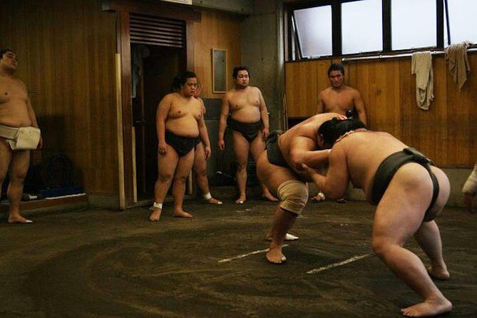 Watch Sumo Morning Practice at Stable in Tokyo - A Calm, Serious Morning at a Tokyo Sumo Stable