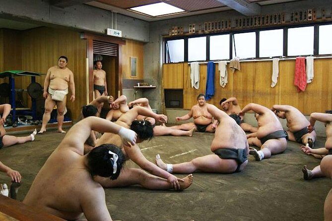 Watch Sumo Morning Practice at Stable in Tokyo - Price, Value, and What Is Included