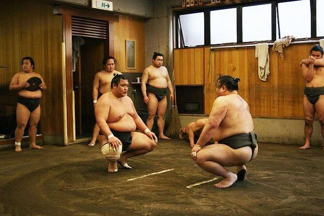 Watch Sumo Morning Practice at Stable in Tokyo - Who This Tour Fits Best (and Who Should Pass)