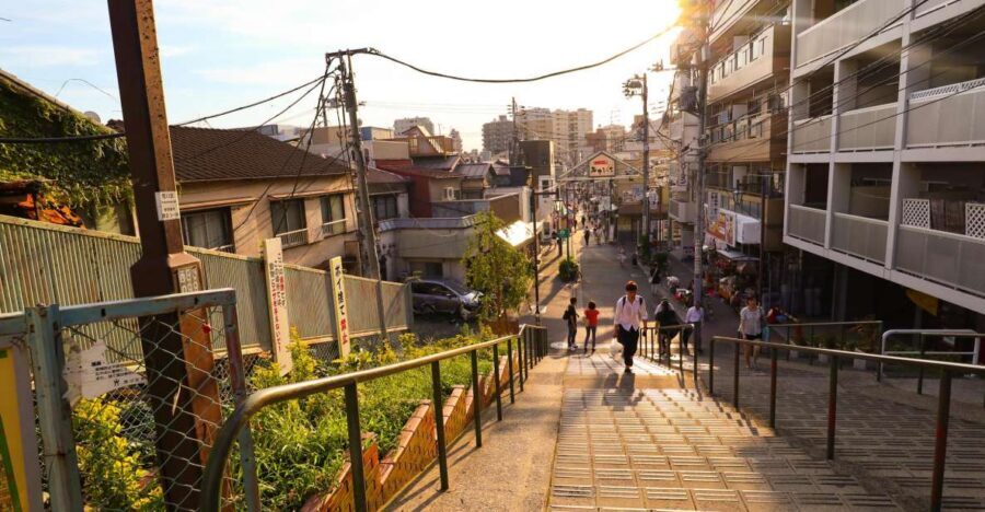 Yanaka District: Historical Walking Tour in Tokyo's Old Town - Key highlights at a glance