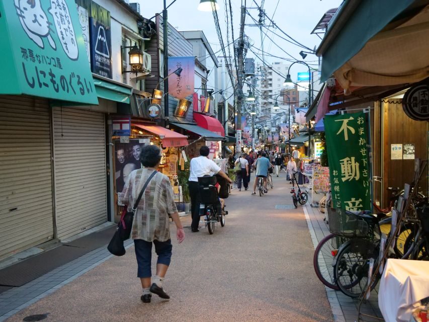 Yanaka District: Historical Walking Tour in Tokyo's Old Town - A few practical tips so you enjoy the day more